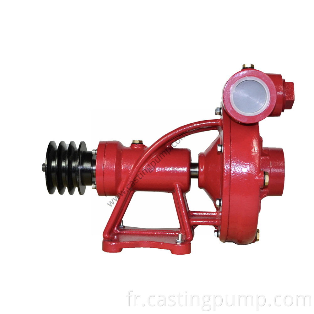 belt pulley pump (1)